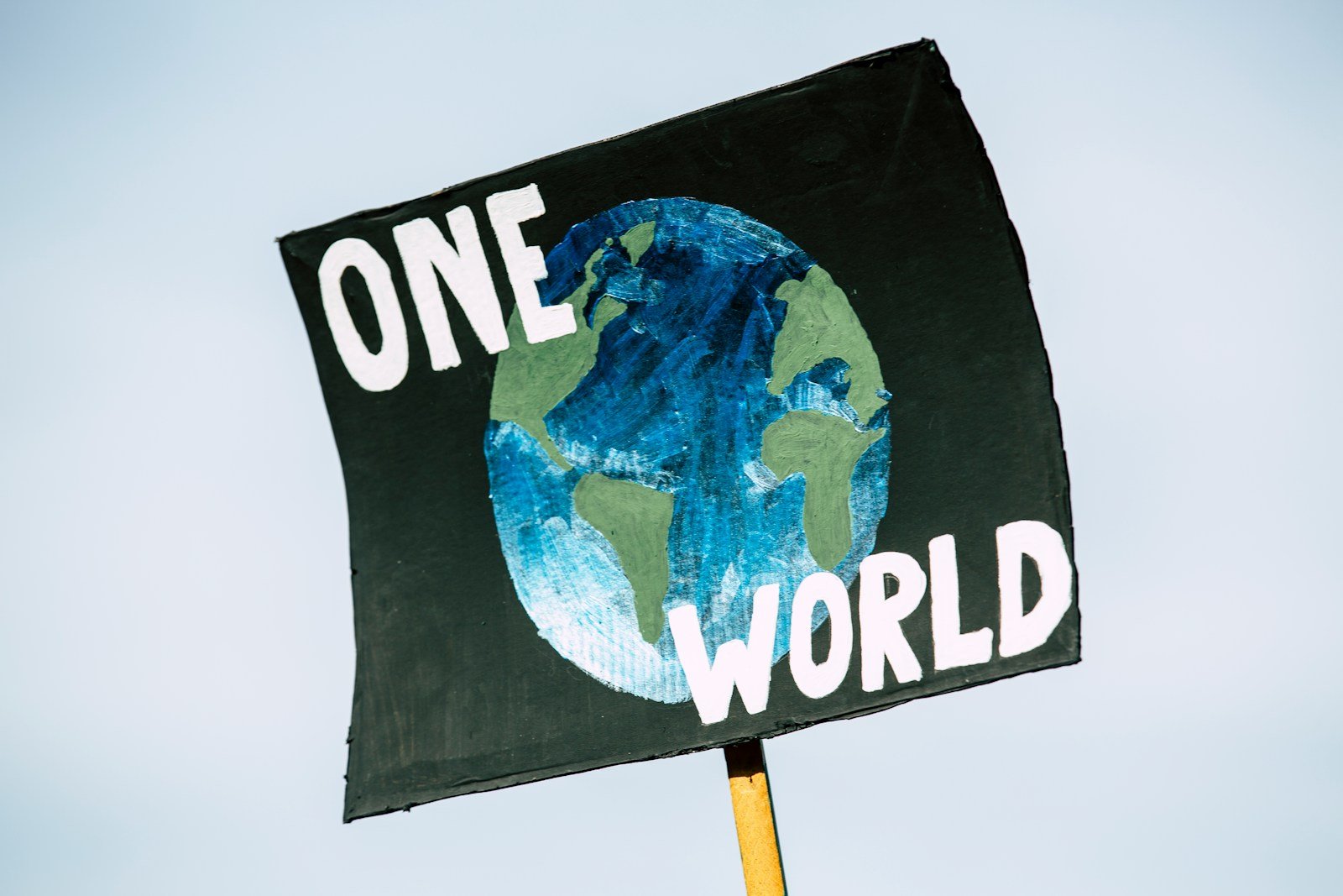 Climate Crisis Escalates: Urgent Actions Needed for Environmental Sustainability