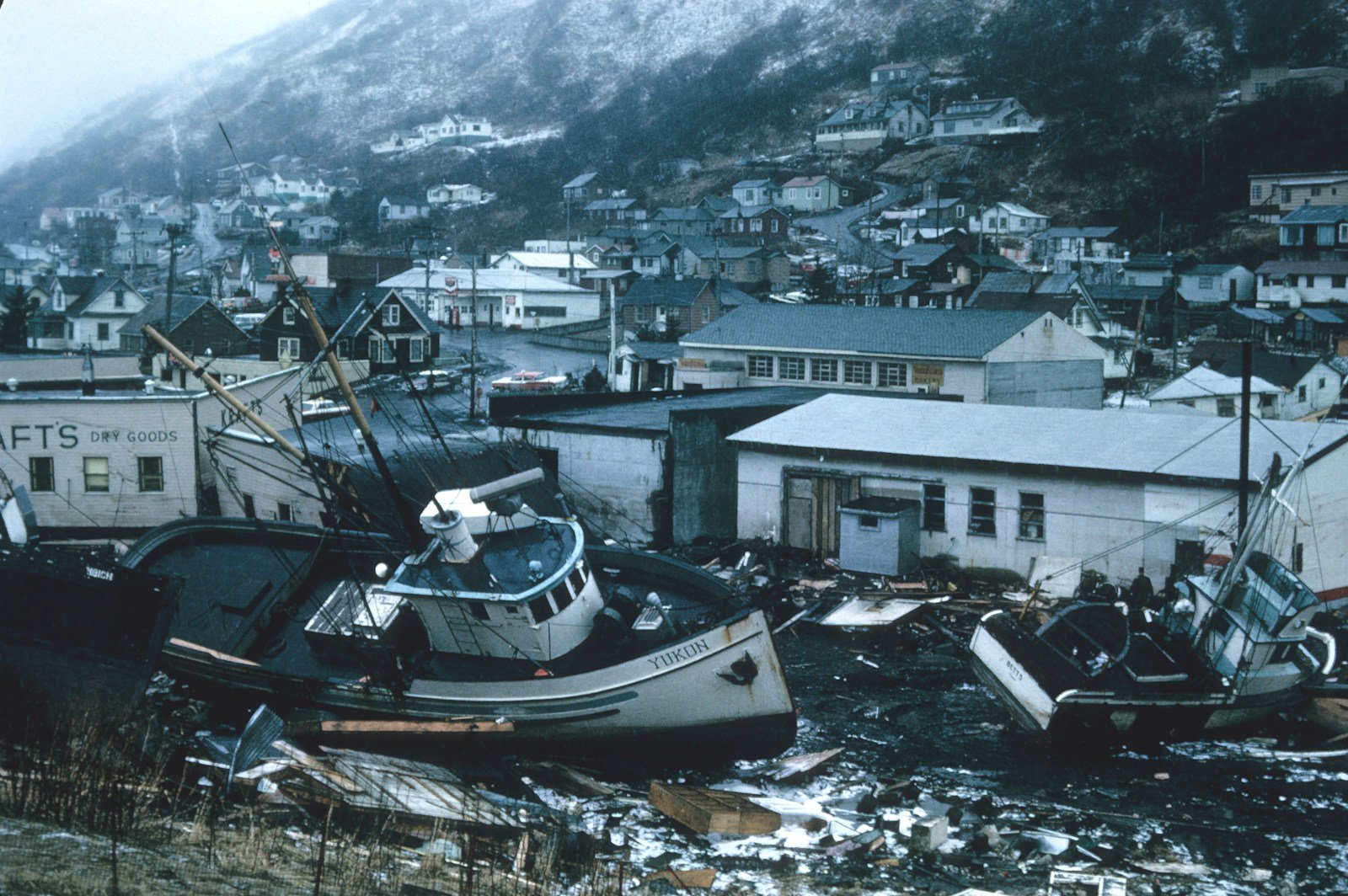 Building Back Better: Resilience and Recovery in Post-Disaster Development Efforts