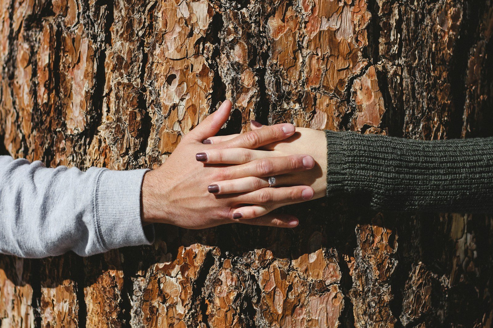 Empowering Communities: Grassroots Approaches to Sustainable Development
